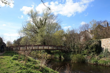 Fototapeta premium Bridge over river and nature