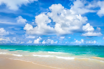 Fototapeta na wymiar White sandy tropical beach in Punta Cana, Dominican Republic