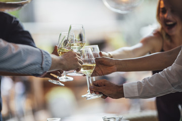 People Toasting at Party