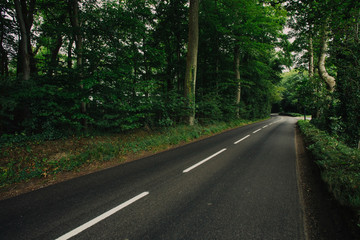 Fototapeta na wymiar Empty country asphalt road passing through the green forest in t