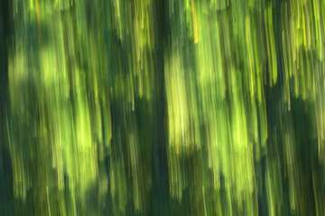 abstract background with blurred trunks of trees
