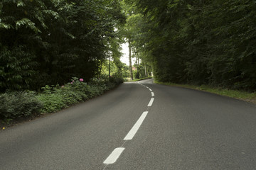 Obraz premium Empty country asphalt road passing through the green forest in the region of Normandy, France. Nature, countryside landscape, transportation and road network concept.