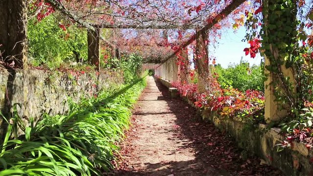 autumn garden at Convent of Christ in Tomar, district of Santarém, Portugal 