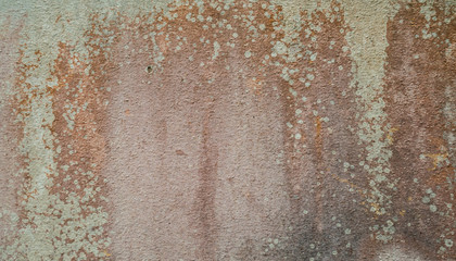 Abstract of fungus texture on the dirty wall in texture background concept.