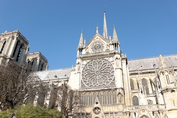 Fototapeta premium Notre dame de paris