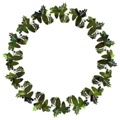 Round frame with holly berries silhouettes. 