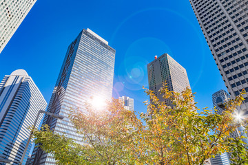 Obraz premium 都会のビルと木々