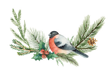 Watercolor vector Christmas wreath with fir branches and bullfinch.