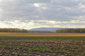 View to hill Klet over field and trees. Czech landscape.