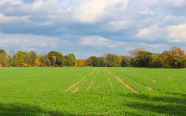 Grass field with autumn trees and cloud sky. Czech landscape