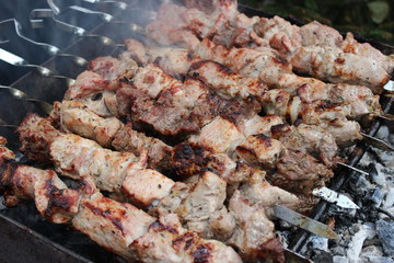 shashlik, kebab, skewer