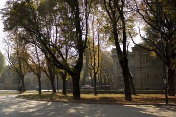 the park Sempione in Milan in a sunny autumn day