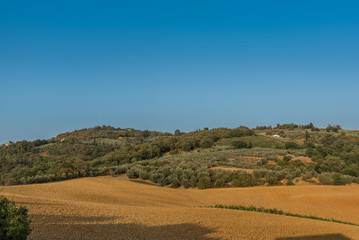 Obraz premium Colline Toscane