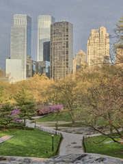 Central Park, New York City spring