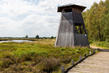 Aussichtsturm im Moor