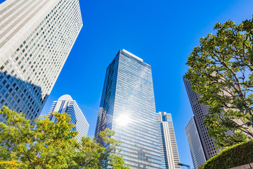 都会のビルと木々
