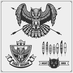 The emblems with owl with open wings.