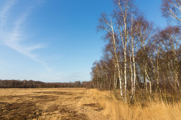 Moorlandschaft