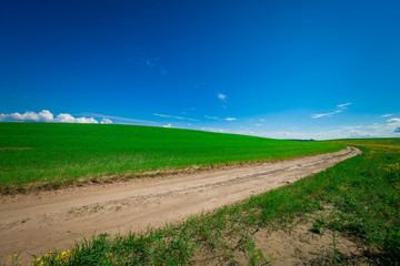 gress, green field