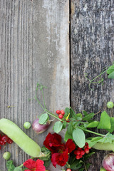 Berries, peas, flower on wood