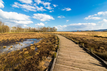 Fototapeta premium Moorlandschaft