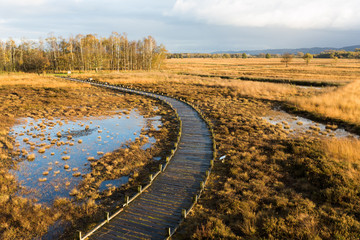 Moorlandschaft