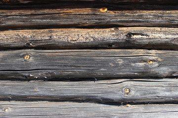 Timber wall, logs