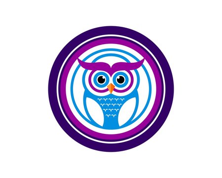 learning owl