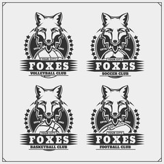 Volleyball, baseball, soccer and football logos and labels. Sport club emblems with fox.