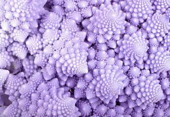 lilac abstrakt background from Roman cauliflower