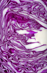 Obraz premium red cabbage close-up background