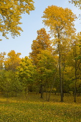 Autumn city park, Minsk, Belarus