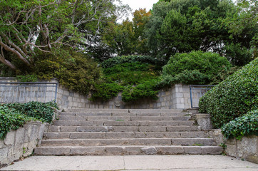 alley in botanical garden