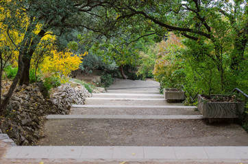 alley in botanical garden