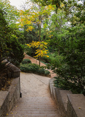 alley in botanical garden