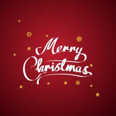 Merry Christmas vector text and New Year Xmas background. with beautiful various snowflakes,