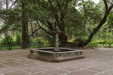 fountain in botanic garden