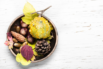 symbolic autumn still life