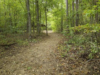 north carolina USA nature  parks 