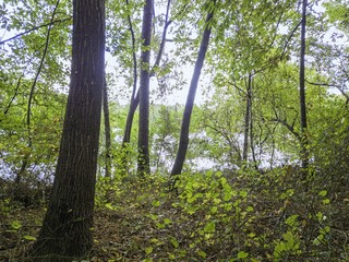 north carolina USA nature  parks 