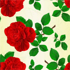 Seamless texture flower red rose and leaves vintage  vector illustration editable hand draw