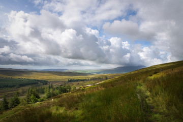 The wild hard wet and also beautiful green Moor of England