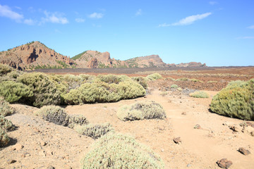 El Teide National Park on Tenerife Island, Canary Islands, Spain
