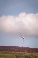 One windmill with clouds and blue sky in the purple heather landscape