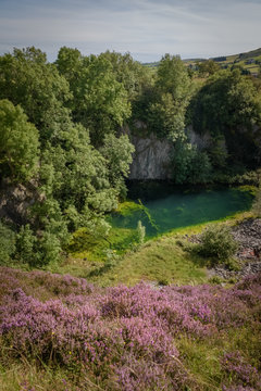 Old abandoned quarry with green algae grown pond and purple heath foreground