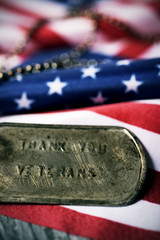 text thank you veterans in a dog tag