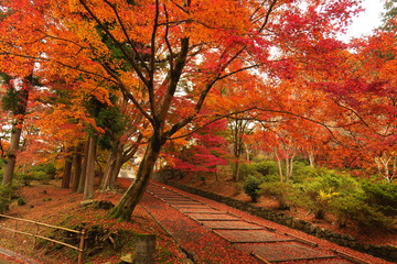 京都毘沙門堂の紅葉