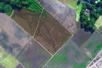 Top view prepare land for rice plantation
