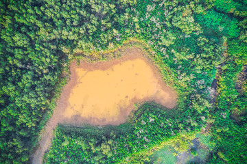 Beautiful aerial view of yellow pond surrounded by turquoise tree
