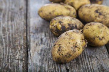 Raw potatoes  on a wooden table